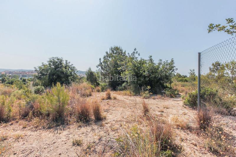 Foto 3b882ff9-2bfc-4af1-91b9-d295832c723d. Finca rústica solvia inmobiliaria solares vendrell el en Vendrell (El)