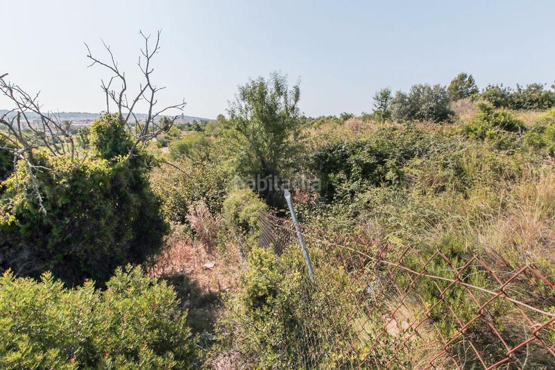 Foto 6cbae463-e7cd-4976-85c9-358ba070c741. Finca rústica solvia inmobiliaria solares vendrell el en Vendrell (El)