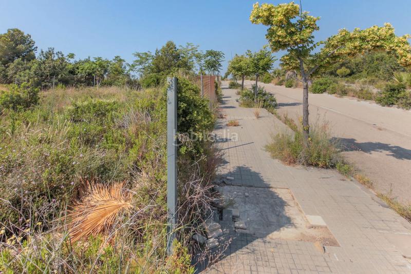 Foto 8277f103-84a6-402f-8730-8b5247de3c18. Finca rústica solvia inmobiliaria solares vendrell el en Vendrell (El)