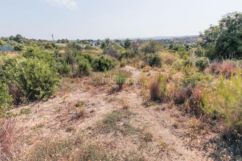 Foto 8ab09288-de6b-49bd-b683-1b4c6d589ccf. Finca rústica solvia inmobiliaria solares vendrell el en Vendrell (El)