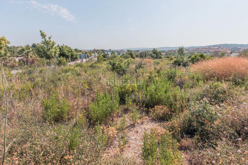 Foto 913974a7-d3b9-42b5-a4b9-183feb4d1cd1. Finca rústica solvia inmobiliaria solares vendrell el en Vendrell (El)