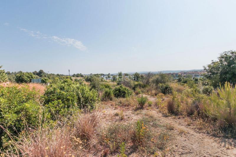 Foto 9d001293-b676-4db4-b52e-606320ab6ad1. Finca rústica solvia inmobiliaria solares vendrell el en Vendrell (El)