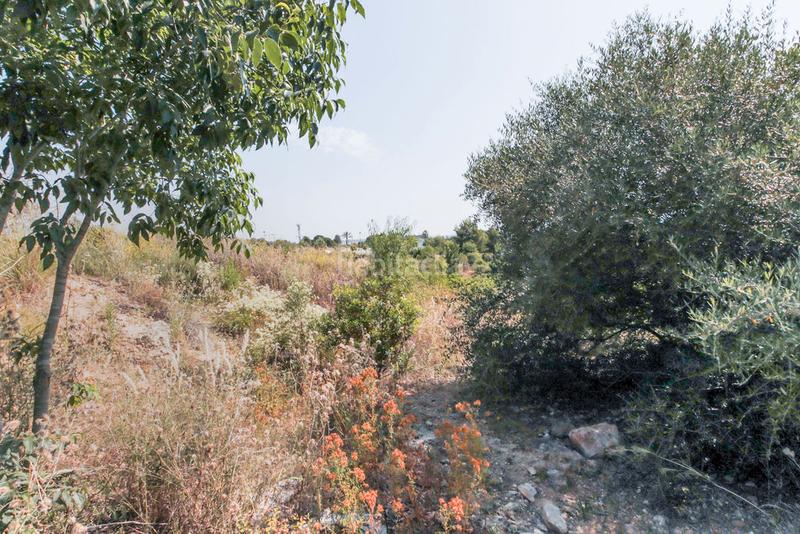Foto a9989783-982b-4a67-a5ea-6746c4f96bfa. Finca rústica solvia inmobiliaria solares vendrell el en Vendrell (El)