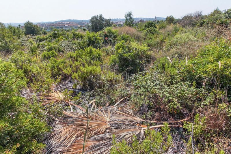 Foto b9523b96-61b7-4cde-a6b3-71032429c379. Finca rústica solvia inmobiliaria solares vendrell el en Vendrell (El)