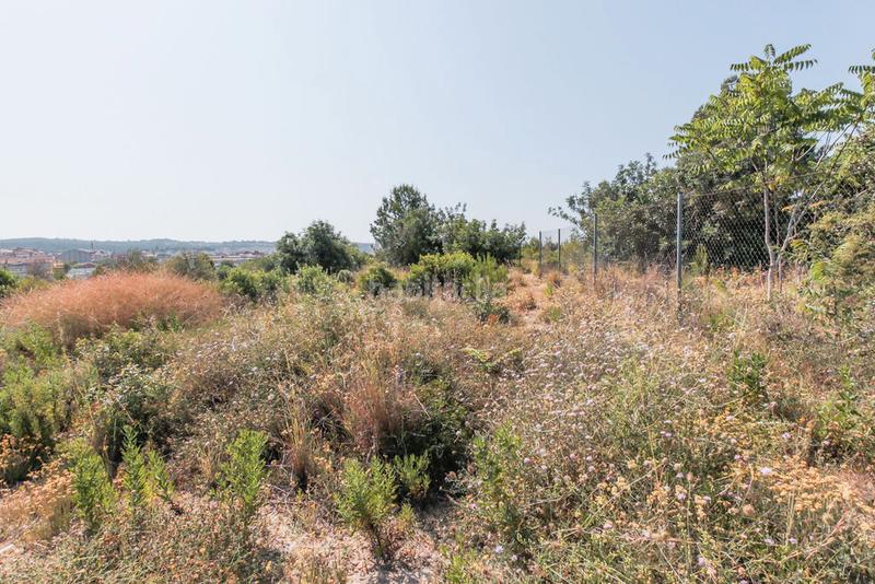 Foto d54e5193-5162-4b4b-9772-3971414564c3. Finca rústica solvia inmobiliaria solares vendrell el en Vendrell (El)