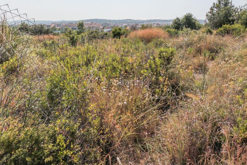 Foto d76a93ab-34b3-40cf-9d35-1b86de590851. Finca rústica solvia inmobiliaria solares vendrell el en Vendrell (El)