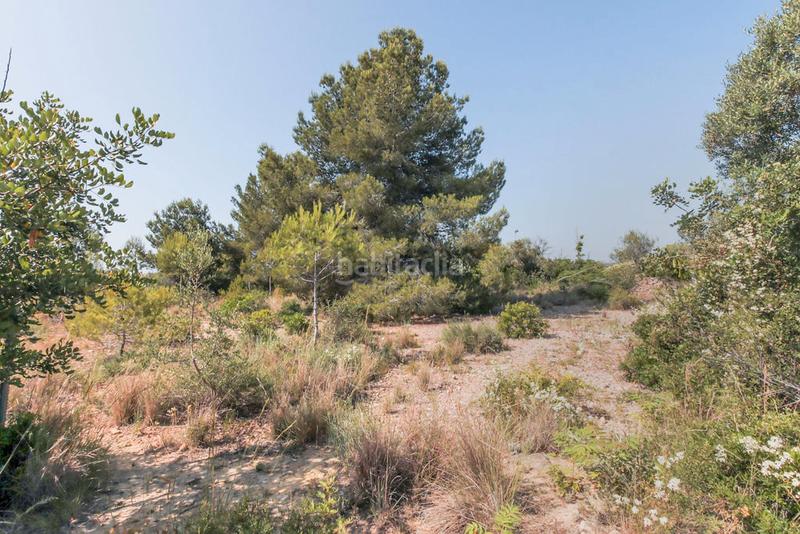 Foto f05d0b40-cd1e-49cf-a1ae-cffc9343b344. Finca rústica solvia inmobiliaria solares vendrell el en Vendrell (El)