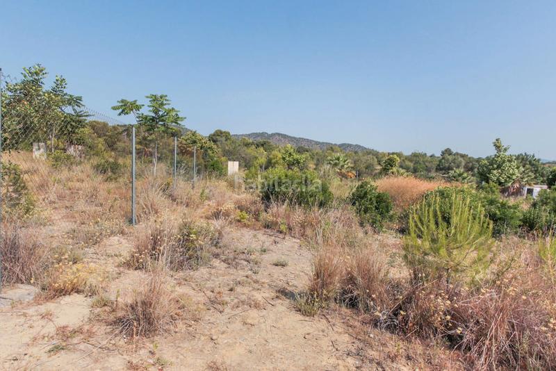 Foto fc8d6dc2-a8ab-46cd-85c5-f67b63bca7f4. Finca rústica solvia inmobiliaria solares vendrell el en Vendrell (El)