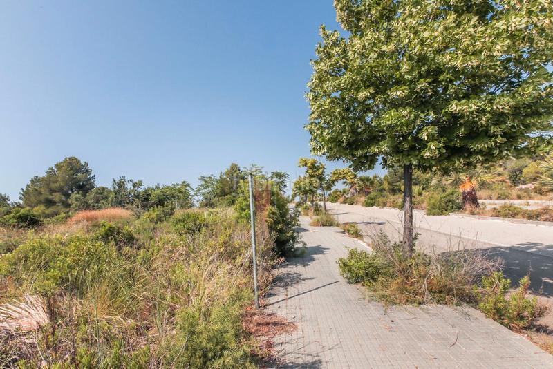 Foto fe7f1dc2-778b-4ec8-9210-6edb9cea6f68. Finca rústica solvia inmobiliaria solares vendrell el en Vendrell (El)
