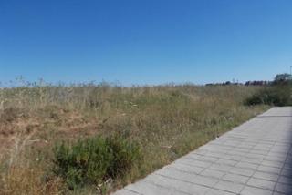 Finca rústica  Ptda. santa bárbara sector suo-de01. Solvia inmobiliaria  suelo urbanizable sectorizado sevilla