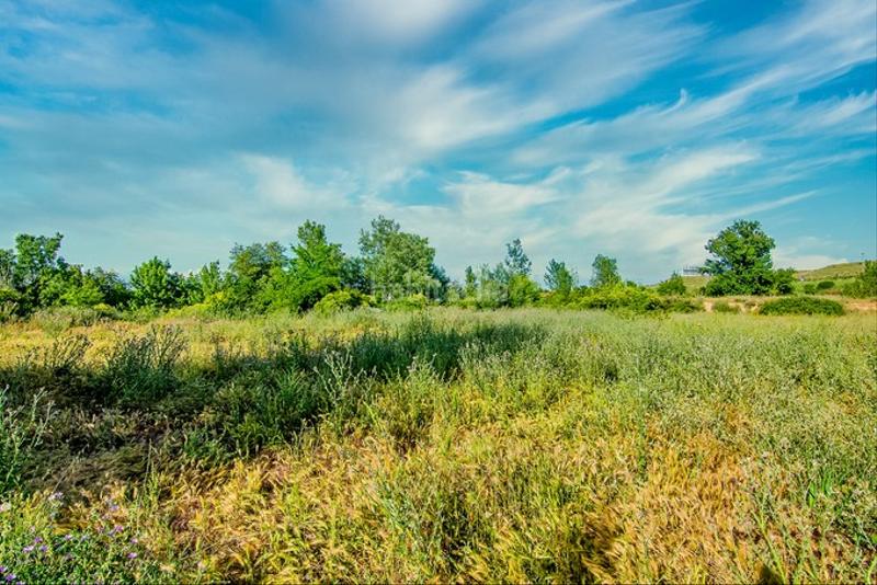 Foto 9677f933-06fb-424a-9c7c-559f4c00fcf8. Propriété dans La Bordeta Lleida