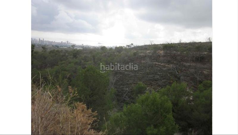 Foto c8f1ea6b-a53d-422f-899f-6a92af069025. Finca rústica solvia inmobiliaria suelo urbanizable sectorizado en Benidorm
