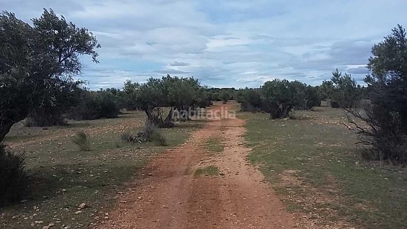 Foto 521f347f-5496-42fa-8909-33c79d7d6e55. Fondo rustico in Quer