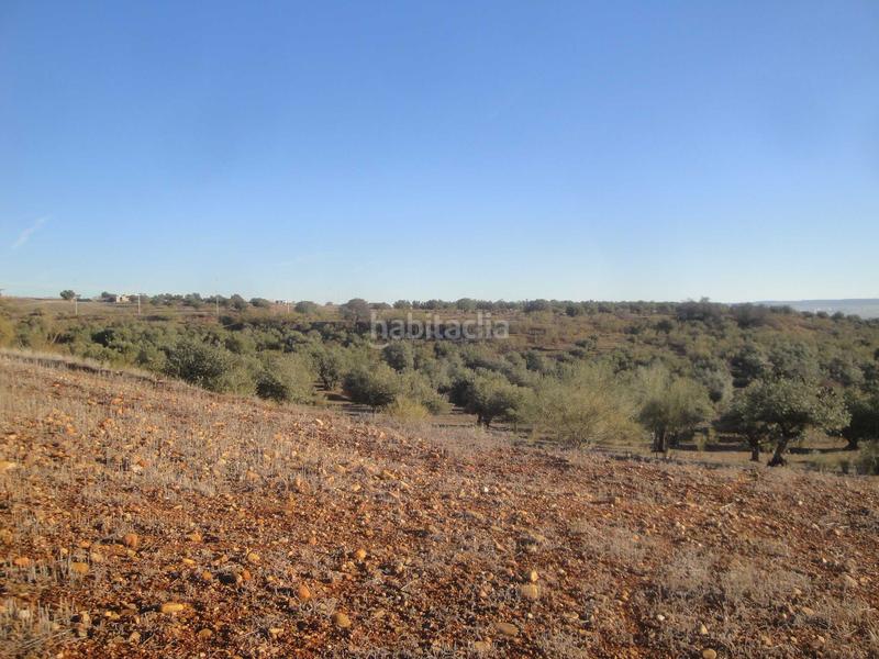 Foto a505987d-4529-4172-87bb-0ff2e2e7b93b. Fondo rustico in Quer