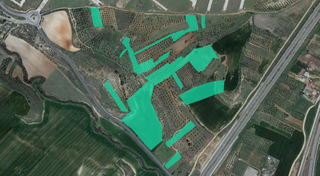 Finca rústica  Sector iv- pom de quer -. Solvia inmobiliaria  suelo urbanizable quer