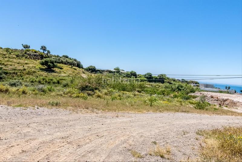 Foto 62229c0e-c484-49c4-bd27-acb93b9f9696. Finca rústica a Capistrano Nerja
