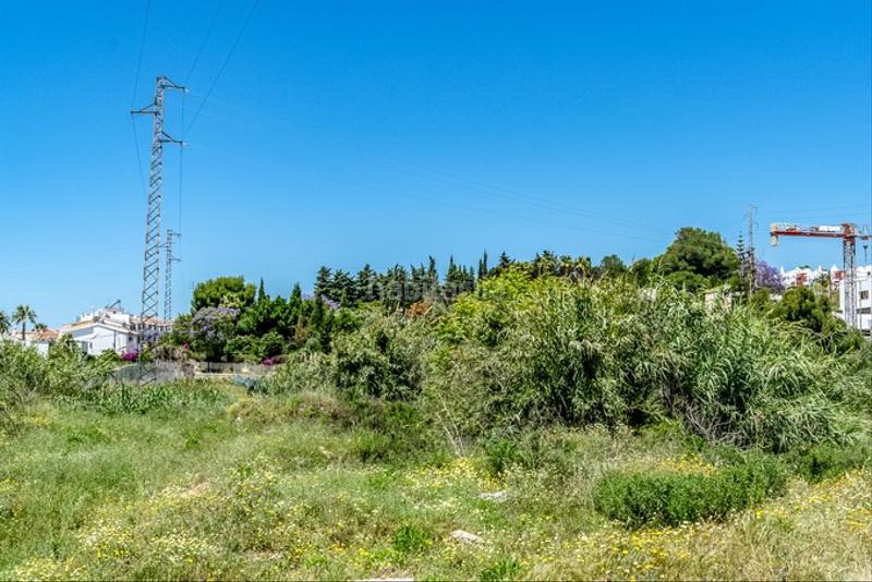 Foto 6a3f1a4f-b986-4303-be35-3bd105722503. Finca rústica a Capistrano Nerja