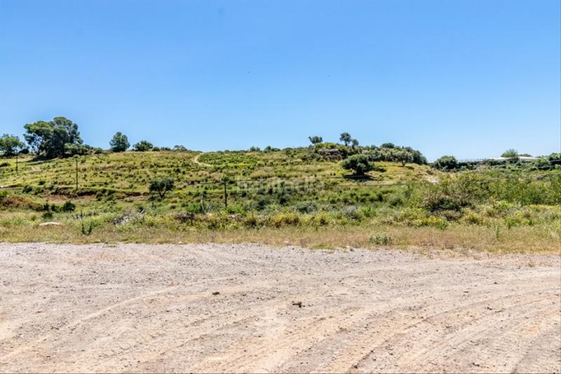 Foto a2ab7699-490a-45ff-a9f3-6bbcf01be6af. Finca rústica a Capistrano Nerja