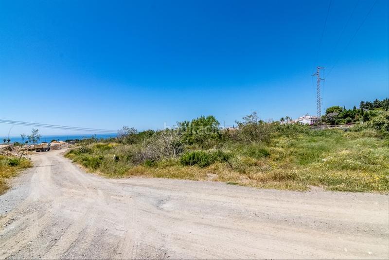 Foto e1b4b4d8-b116-4986-ac15-37d9f672dc8a. Finca rústica a Capistrano Nerja