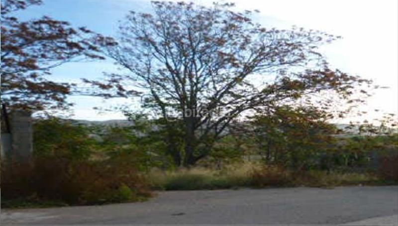 Foto 426549a2-71e1-4a77-a403-a3f50b5098d7. Finca rústica a Sobradiel
