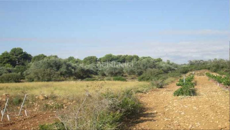 Foto 8a745c9e-3ffe-49e5-9654-ff7aec0d70e7. Finca rústica solvia inmobiliaria suelo rústico en Vilamarxant