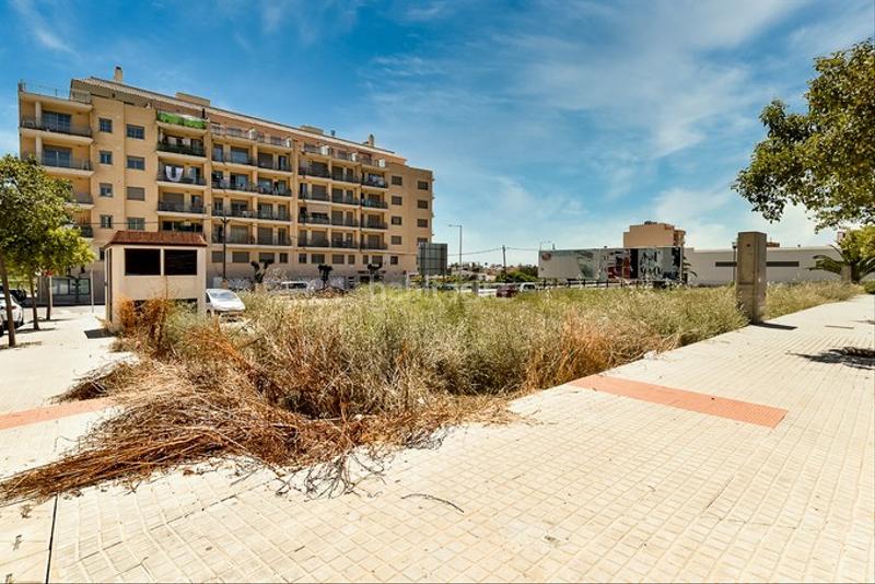 Foto 009f0663-daef-4657-b0db-afde4d4fad91. Finca rústica a Nord Sant Carles de la Ràpita