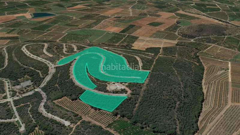 Foto 7aa5e734-6406-40d0-89c0-bb989df82309. Finca rústica a Almenara