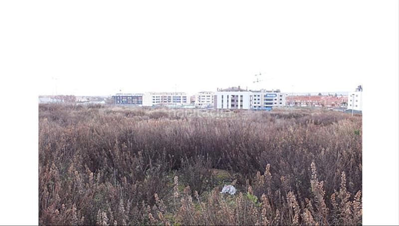 Foto 7553ef2d-e705-4da3-81d6-b8444361f9fa. Fondo rustico in Lardero