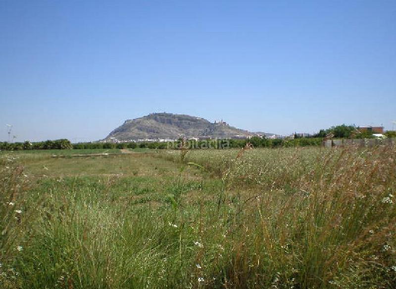 Foto 1115909b-63ff-42cb-8eb9-58189d54ae68. Finca rústica solvia inmobiliaria suelo rústico en Cullera