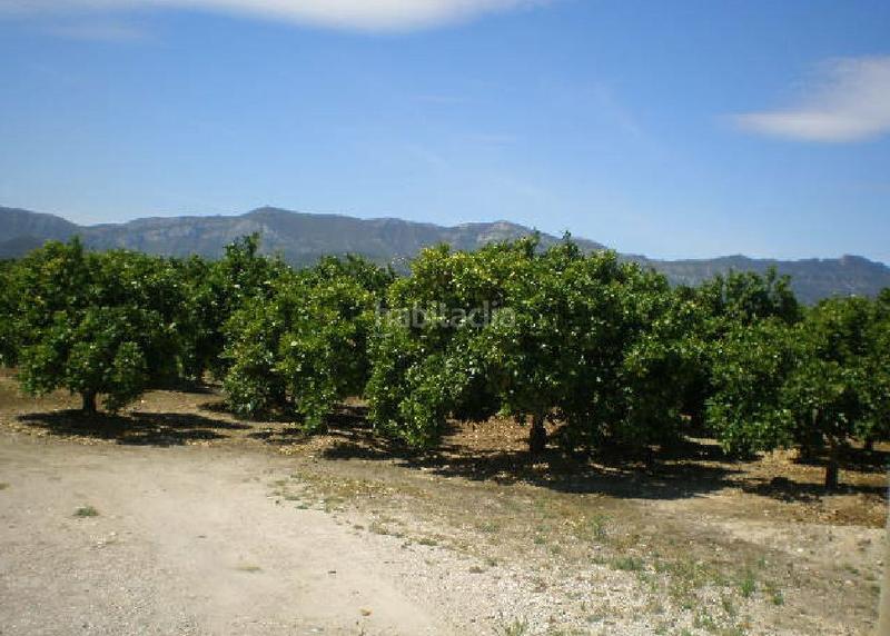 Foto 7e91f41b-90fe-42c0-a740-319b594abcfe. Rural plot in El Marenyet Cullera