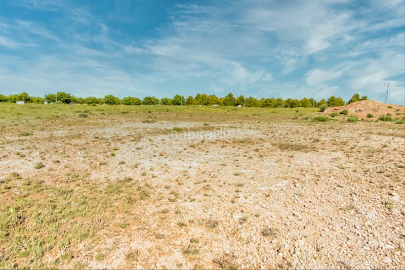 Foto 56d15575-8c70-4800-821d-004fe2bfa05e. Finca rústica a Muela (La)