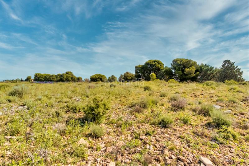 Foto 5a6320da-aa10-4252-910e-89a814bd851b. Finca rústica a Muela (La)