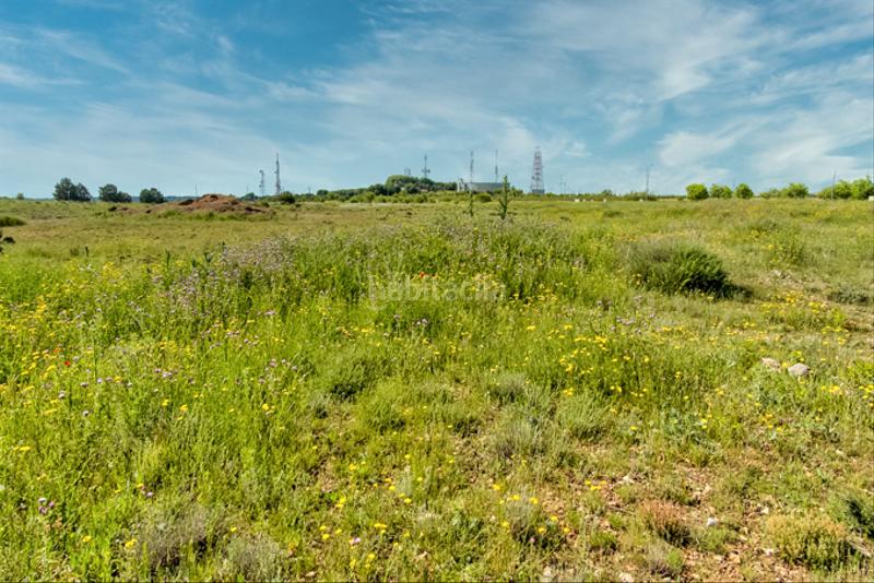 Foto 6288d160-cfc6-4bfb-8d49-7717e9a4cb76. Finca rústica a Muela (La)