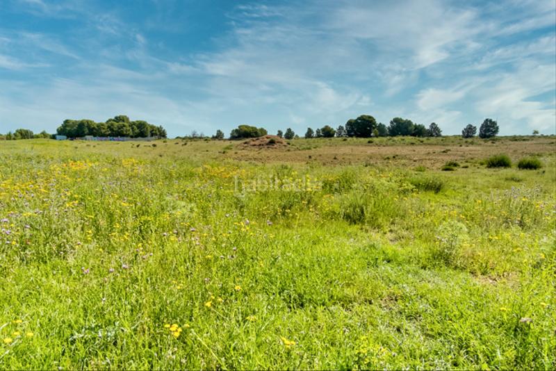 Foto 6ce01192-0580-4aa7-bbfc-510028a39717. Finca rústica a Muela (La)