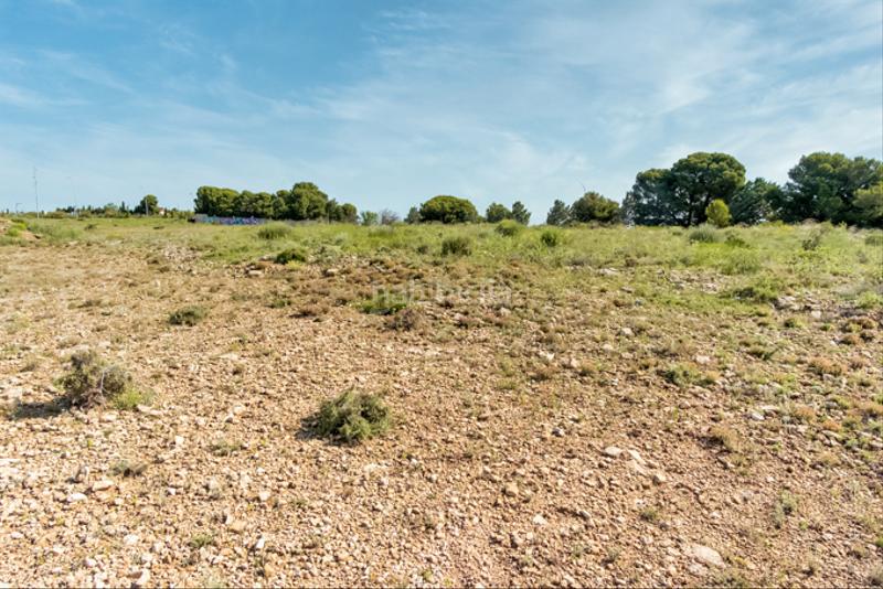 Foto 8cce76a9-ed20-4432-81e8-7f077dc9e06f. Finca rústica a Muela (La)