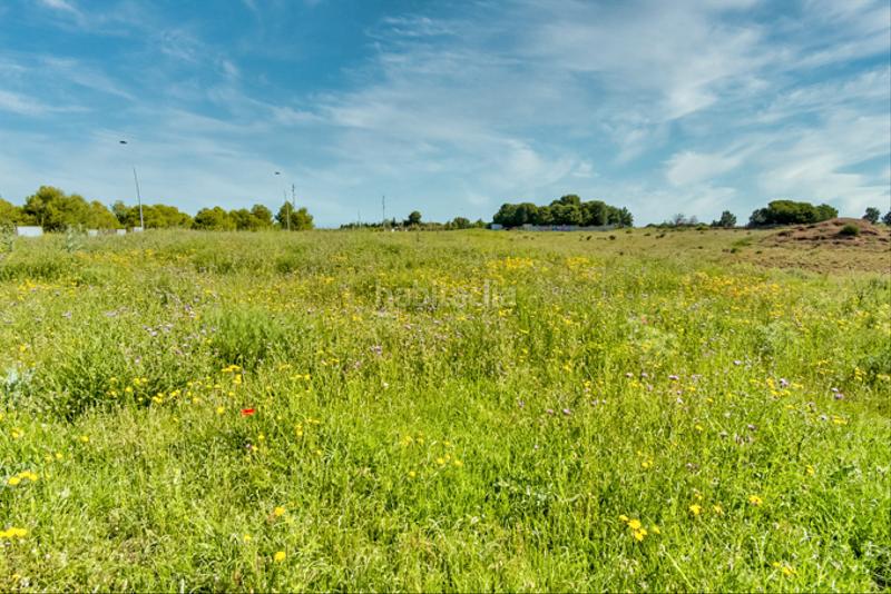 Foto b370d13a-c096-42a5-a916-0ca2cd74b54d. Finca rústica a Muela (La)