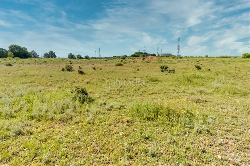 Foto cf75cf5a-1423-4df5-a546-d2ce86bd34d5. Finca rústica a Muela (La)