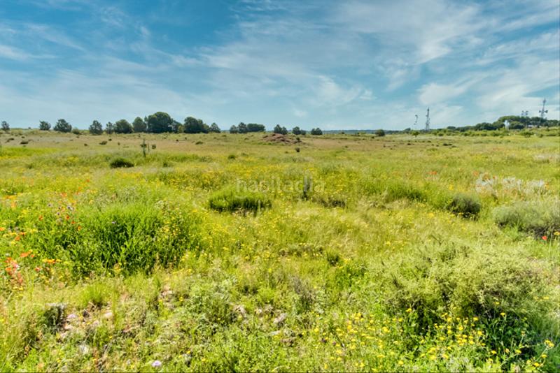 Foto d196beb9-1ebc-4d03-8187-471ffb831567. Finca rústica a Muela (La)