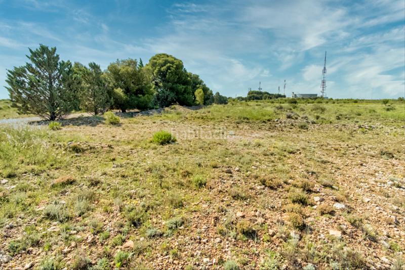 Foto d6f968a3-f60c-47f5-88cf-b3669f0979a7. Finca rústica a Muela (La)