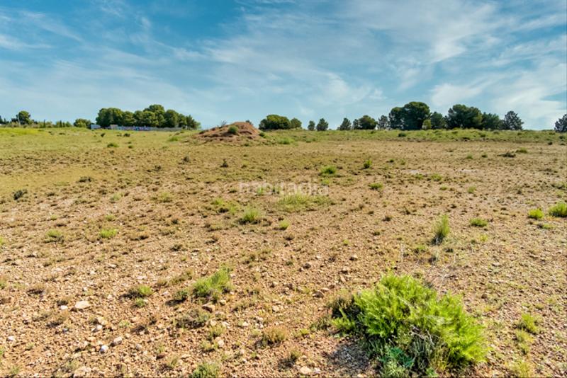 Foto e049d57e-86a2-4bd8-b2a3-c38cac7d9749. Finca rústica a Muela (La)