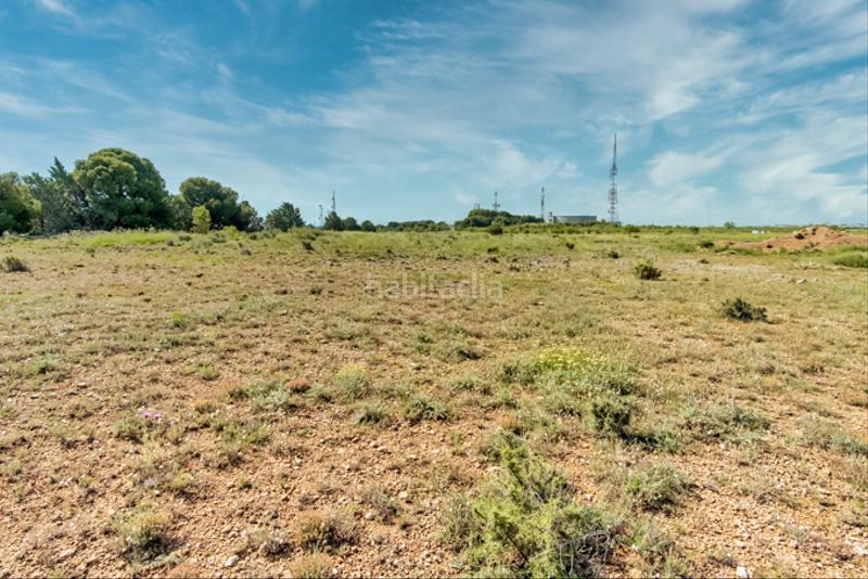 Foto faf4a804-31a7-4065-912a-2187c9cbf8ba. Finca rústica a Muela (La)