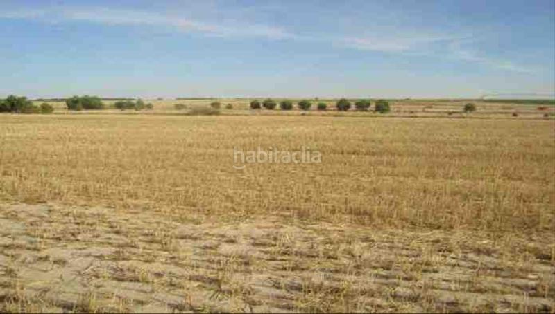 Foto 0443d126-9bf6-4bf1-bf72-c17503e887e6. Finca rústica a Zarza (La)
