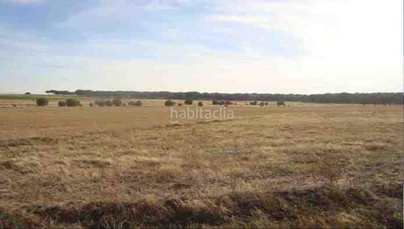 Foto 496d8c18-d0a6-479a-9bd5-1a25984284f1. Finca rústica a Zarza (La)