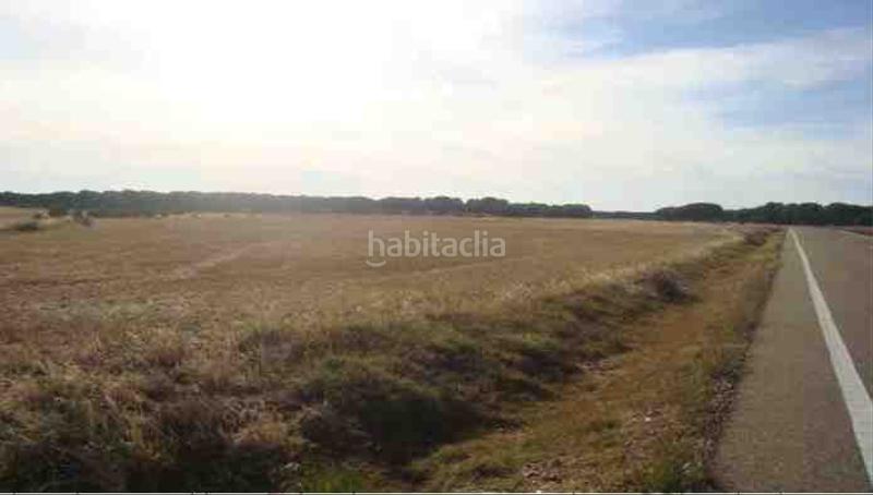 Foto 56b7c9c4-7c9a-449e-a1ed-6dfe88153b3f. Finca rústica a Zarza (La)