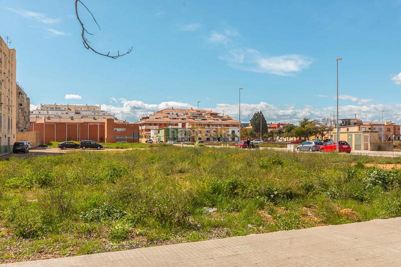 Foto 37dd3865-1cf4-4555-99f1-e4e0c2768dc2. Fondo rustico in Santa Quiteria - Les Boqueres Almazora / Almassora