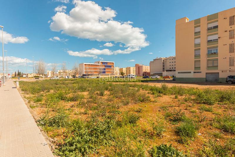 Foto 7afcbe84-5336-4607-93f6-ef5886d2fe0c. Fondo rustico in Santa Quiteria - Les Boqueres Almazora / Almassora