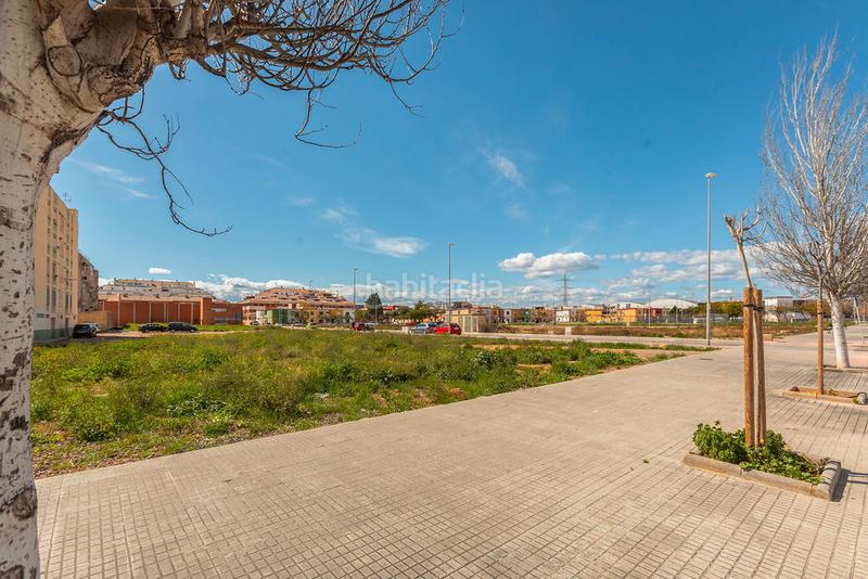 Foto 8958d6c0-95ed-4a8f-a039-081fb1c61d1b. Fondo rustico in Santa Quiteria - Les Boqueres Almazora / Almassora