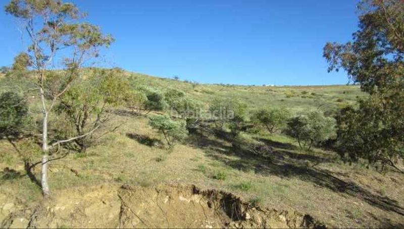 Foto cf845df7-9faa-4061-a737-4534187ae2b1. Finca rústica solvia inmobiliaria suelo rústico en Valle de Abdalajís