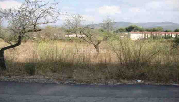 Foto bce3a71f-8d1f-4b38-ae2a-44d4fd2fed14. Finca rústica a Santa Magdalena de Pulpis