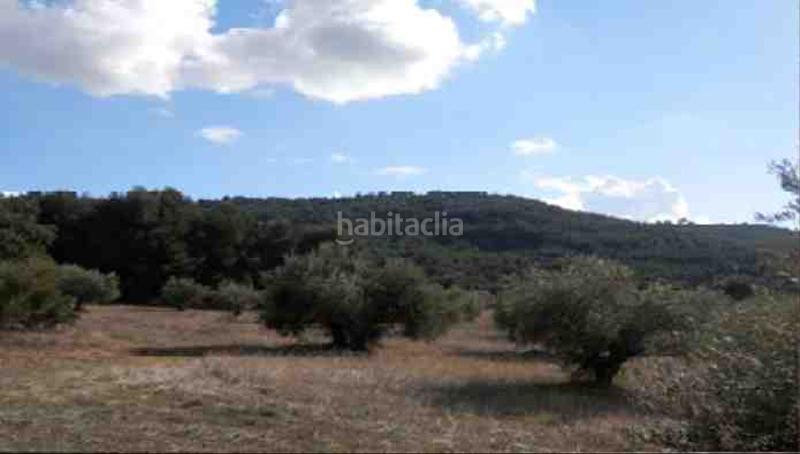 Foto 3da47fbb-f0a4-4f8a-8df0-89bcbe7a54b7. Finca rústica a El Clavín-Valdeluz Guadalajara